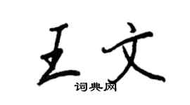 王正良王文行書個性簽名怎么寫