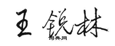 駱恆光王銳林行書個性簽名怎么寫