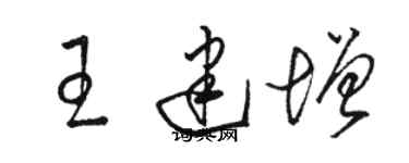 駱恆光王建增草書個性簽名怎么寫