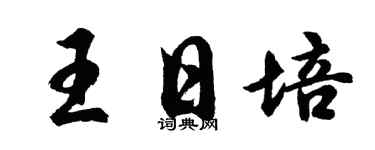 胡問遂王日培行書個性簽名怎么寫
