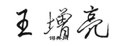 駱恆光王增亮行書個性簽名怎么寫