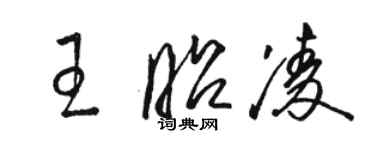 駱恆光王昭凌草書個性簽名怎么寫