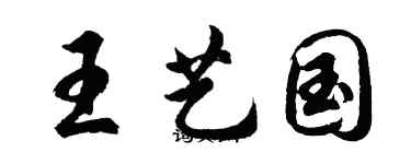 胡問遂王藝國行書個性簽名怎么寫