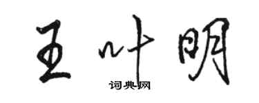 駱恆光王葉明行書個性簽名怎么寫