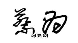 朱錫榮蔡為草書個性簽名怎么寫