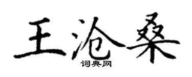 丁謙王滄桑楷書個性簽名怎么寫