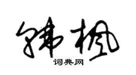朱錫榮韓楓草書個性簽名怎么寫