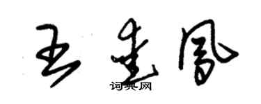 朱錫榮王愛鳳草書個性簽名怎么寫