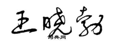 曾慶福王曉勃草書個性簽名怎么寫