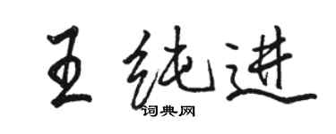 駱恆光王純進行書個性簽名怎么寫
