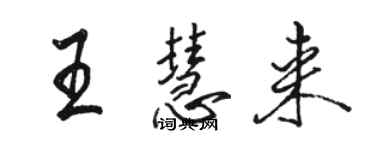 駱恆光王慧來行書個性簽名怎么寫