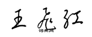 梁錦英王飛紅草書個性簽名怎么寫