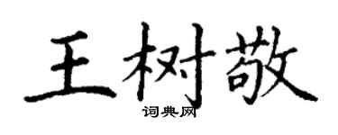 丁謙王樹敬楷書個性簽名怎么寫