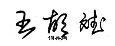 朱錫榮王胡斌草書個性簽名怎么寫