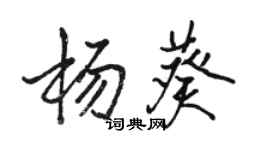 駱恆光楊葵行書個性簽名怎么寫