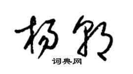 梁錦英楊朝草書個性簽名怎么寫