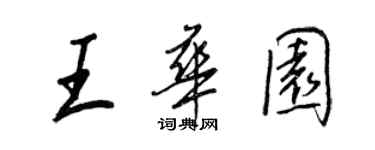 王正良王華園行書個性簽名怎么寫