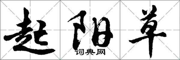 胡問遂起陽草行書怎么寫