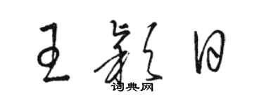 駱恆光王穎日草書個性簽名怎么寫