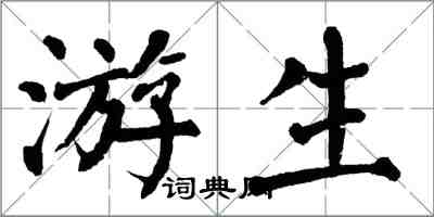 翁闓運游生楷書怎么寫