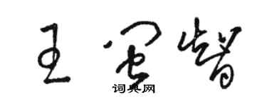 駱恆光王閩智草書個性簽名怎么寫