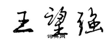 曾慶福王望強行書個性簽名怎么寫