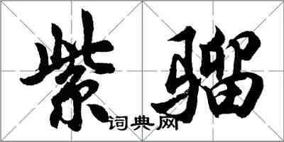 胡問遂紫騮行書怎么寫