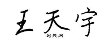 王正良王天宇行書個性簽名怎么寫