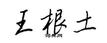 王正良王根土行書個性簽名怎么寫
