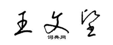 梁錦英王文堅草書個性簽名怎么寫