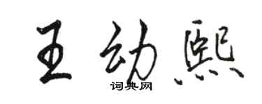 駱恆光王幼熙行書個性簽名怎么寫