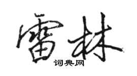 駱恆光雷林行書個性簽名怎么寫