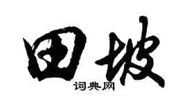 胡問遂田坡行書個性簽名怎么寫