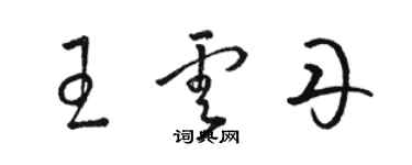 駱恆光王雲丹草書個性簽名怎么寫