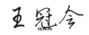 駱恆光王冠會行書個性簽名怎么寫