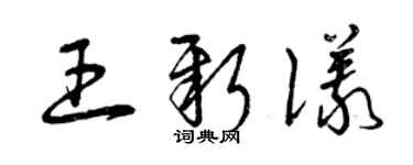 曾慶福王新儀草書個性簽名怎么寫