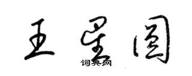 梁錦英王星圓草書個性簽名怎么寫