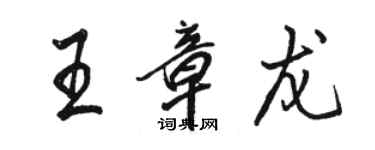 駱恆光王章龍行書個性簽名怎么寫
