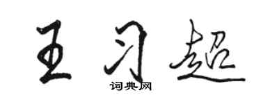 駱恆光王習超行書個性簽名怎么寫