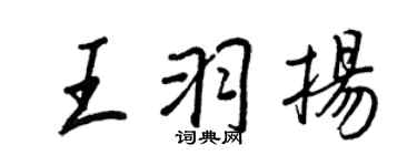 王正良王羽揚行書個性簽名怎么寫