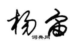 朱錫榮楊宙草書個性簽名怎么寫