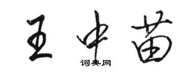 駱恆光王中苗行書個性簽名怎么寫