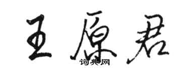 駱恆光王原君行書個性簽名怎么寫