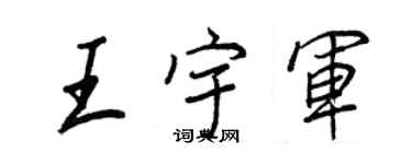 王正良王宇軍行書個性簽名怎么寫