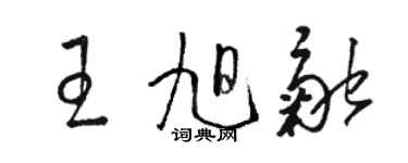 駱恆光王旭融草書個性簽名怎么寫