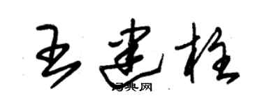 朱錫榮王建柱草書個性簽名怎么寫