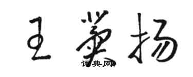 駱恆光王冀揚草書個性簽名怎么寫