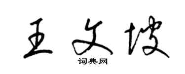 梁錦英王文坡草書個性簽名怎么寫