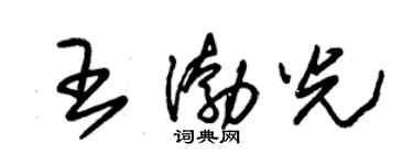 朱錫榮王渤光草書個性簽名怎么寫