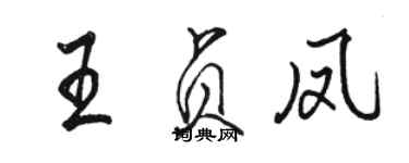 駱恆光王貞鳳行書個性簽名怎么寫